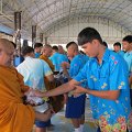 IMG_1799