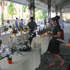 IMG_0408