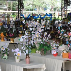 IMG_0481