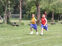IMG 0662