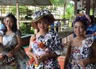 DSC 0010